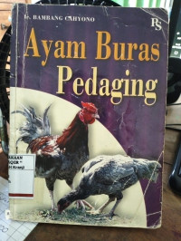 Ayam buras pedaging