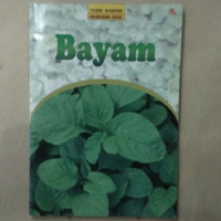 Bayam