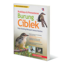 Budidaya & Pemasteran Burung Ciblek