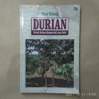 Durian Untuk Kebun Komersial Dan Hobi