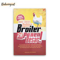 Kunci Sukses Budidaya Ayam Broiler 28 Hari Panen Besar!