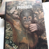 PRIMATA