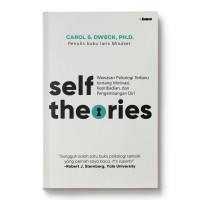Self Theories